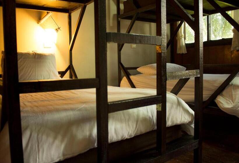 Cama en Habitación Compartida, Jungle Gym & Ecolodge