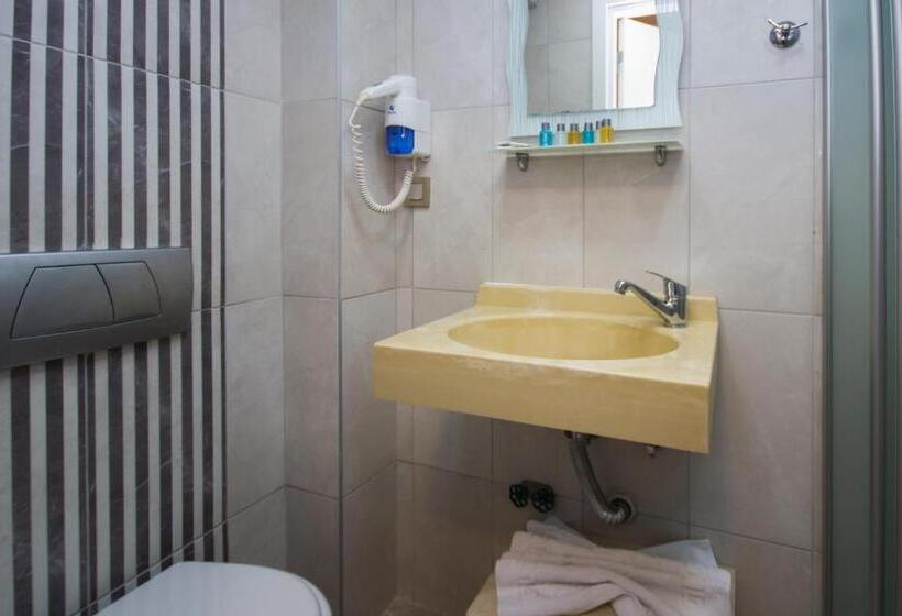 اتاق استاندارد, Bestur