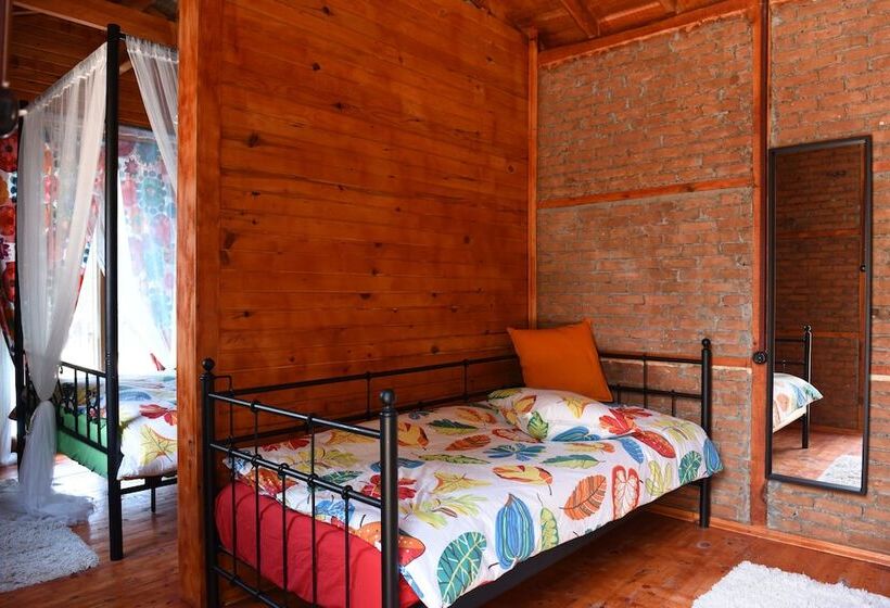 استودیوی استاندارد, Otantik Tas Ev