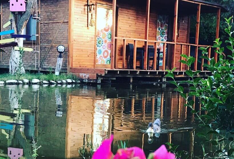 استودیوی استاندارد, Otantik Tas Ev