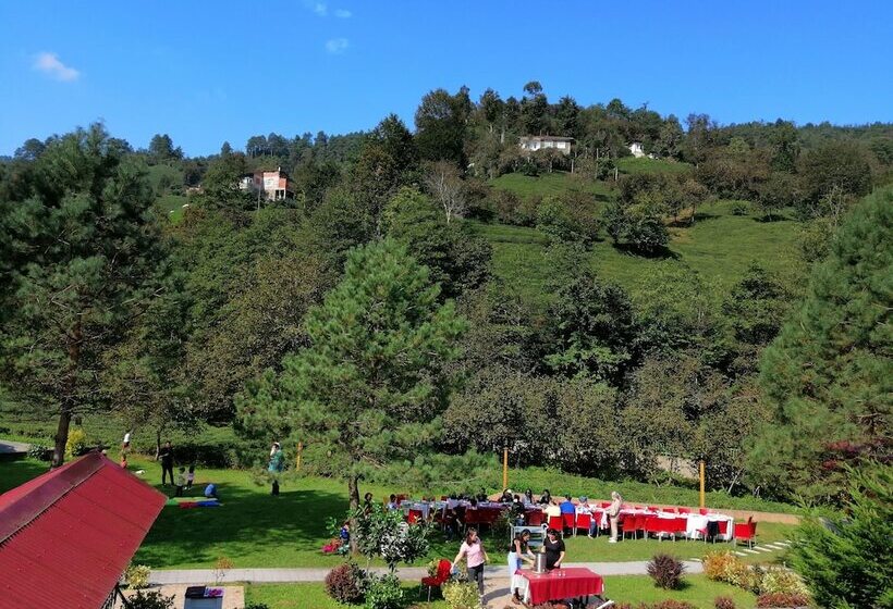 商务房间, Pinar Kir Evi