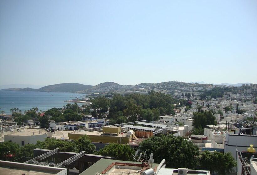 Standard Studio, M2 Otel