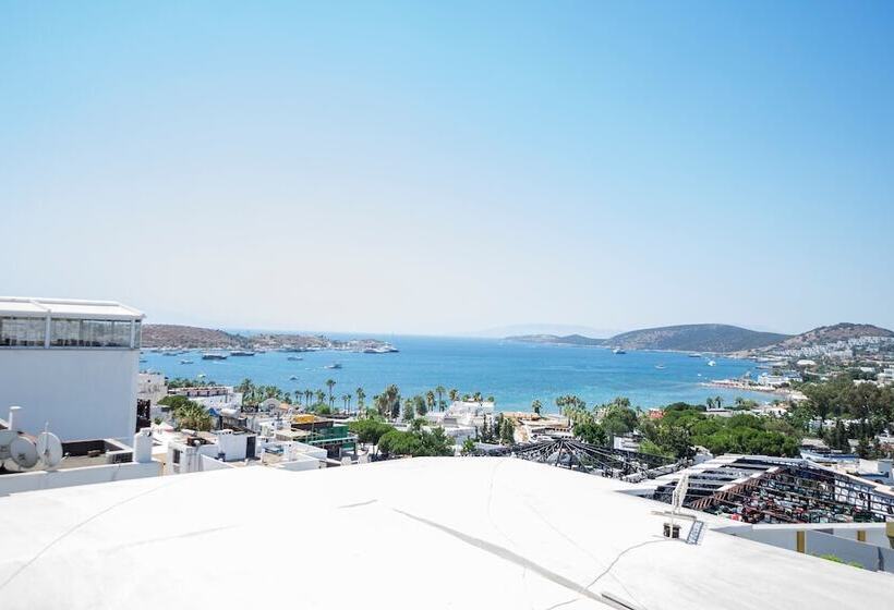 Superior Studio, M2 Otel