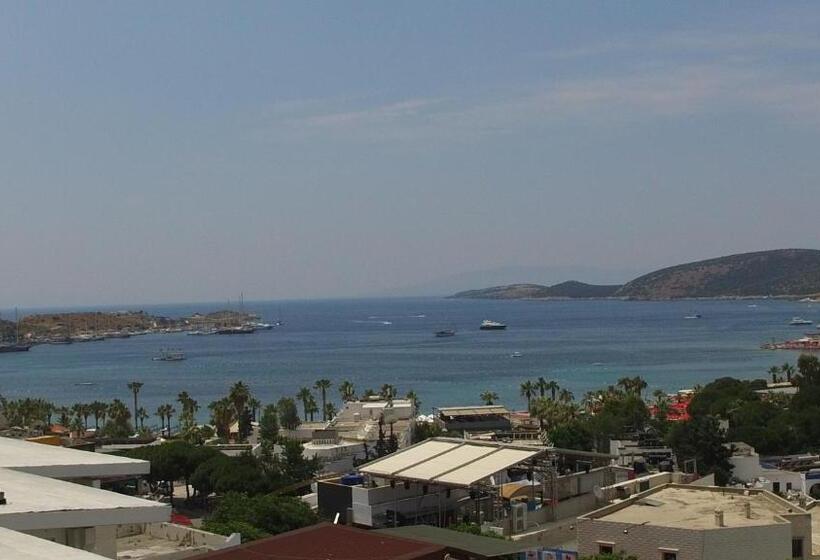 Standard Studio Havsutsikt, M2 Otel