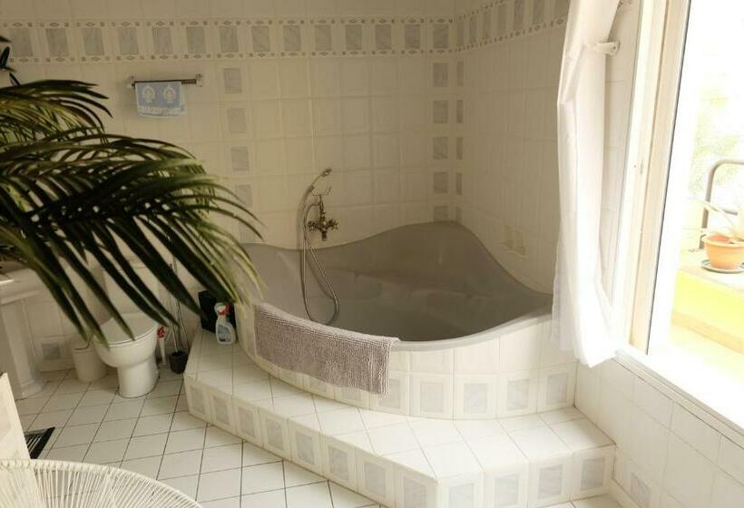 Люкс, B&b Le Patio En Ville   Chambres D Hôtes