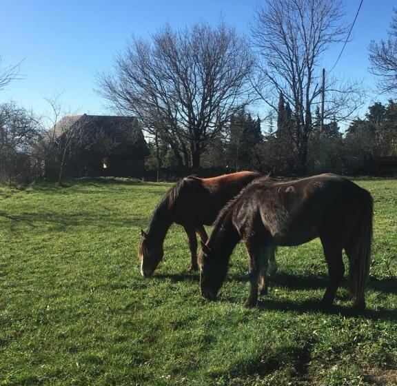 Номер Стандарт, Domaine De Campras B&b