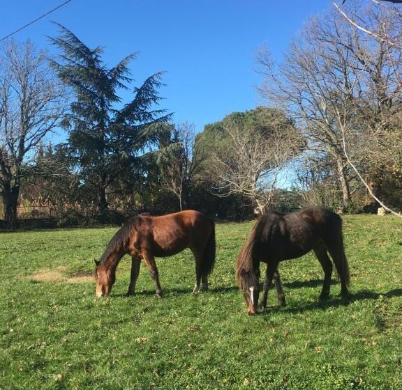 Номер Стандарт, Domaine De Campras B&b