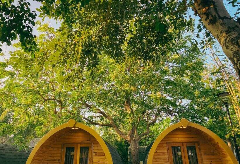 کلبه ییلاقی, Long Hải Channel Beach Resort