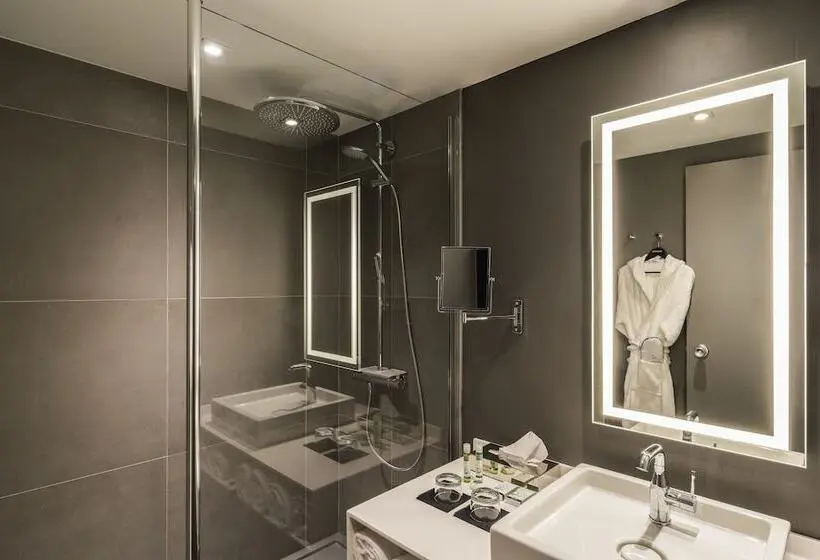 اتاق کلاسیک, Novotel Saintetienne Centre Gare Chateaucreux