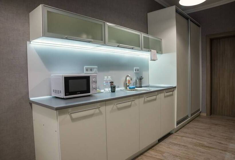 شقة ديلوكس غرفة واحدة, Opera Passage Hotel & Apartments