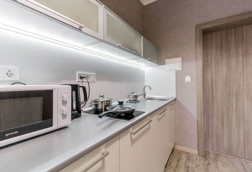 شقة سوبريور غرفة واحدة, Opera Passage Hotel & Apartments