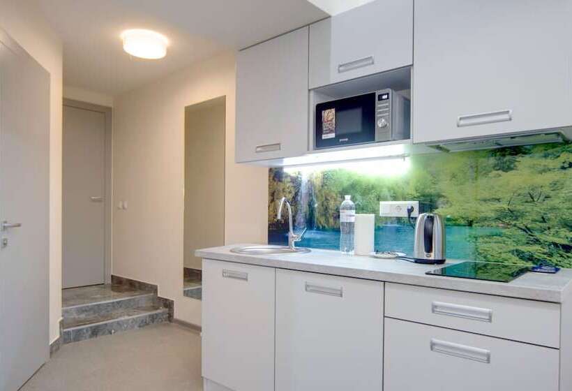 استودیوی استاندارد, Arena Summit Apart