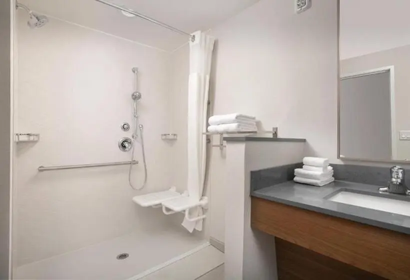 キングサイズベッドのスタンダードルーム, Fairfield Inn & Suites By Marriott New Orleans Metairie
