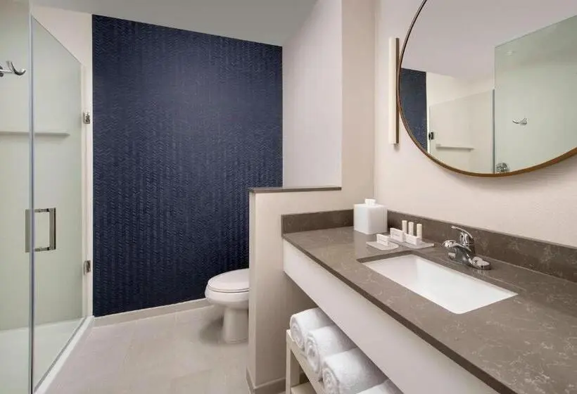 キングサイズベッドのスタンダードルーム, Fairfield Inn & Suites By Marriott New Orleans Metairie