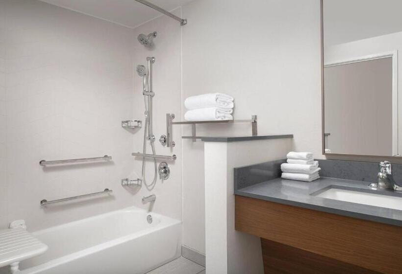 Номер Стандарт, Fairfield Inn & Suites By Marriott New Orleans Metairie