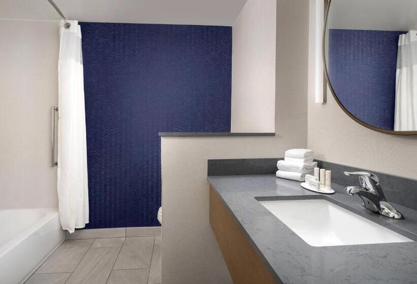 Номер Стандарт Адаптированный для Инвалидов, Fairfield Inn & Suites By Marriott New Orleans Metairie