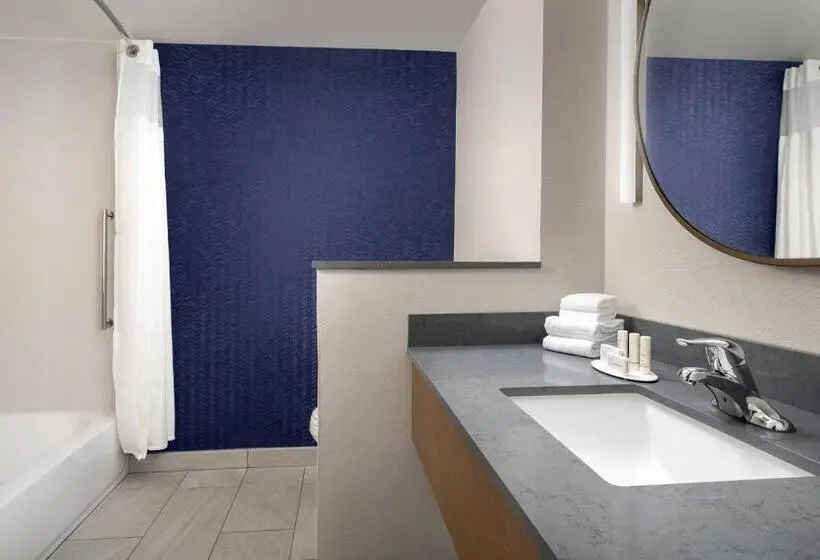身障者適用スタンダードルーム, Fairfield Inn & Suites By Marriott New Orleans Metairie