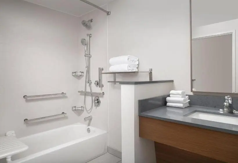 身障者適用スタンダードルーム, Fairfield Inn & Suites By Marriott New Orleans Metairie