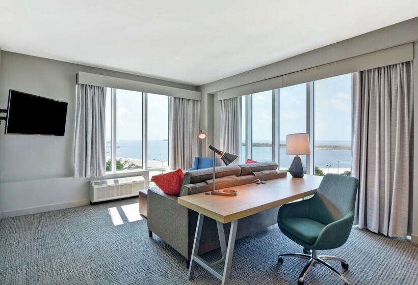 Люкс Адаптированный для Инвалидов, Hilton Garden Inn Biloxi