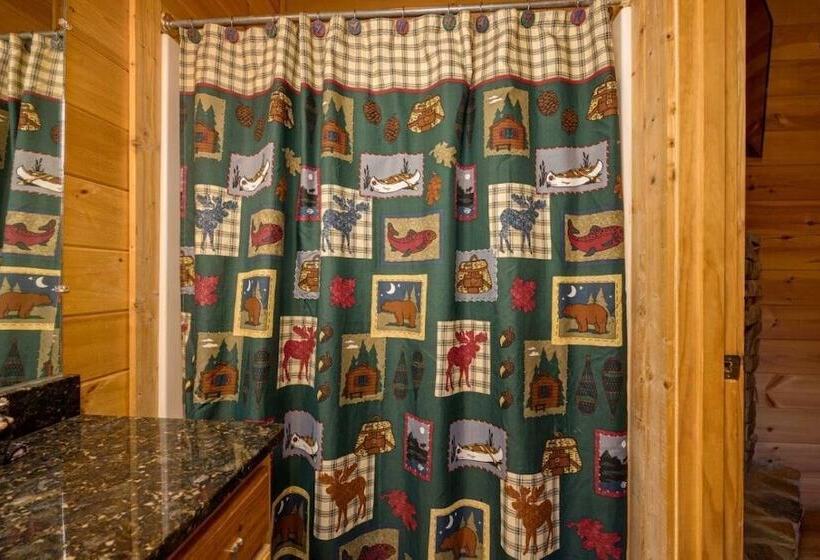 کابین, Scenic Vista Lodge