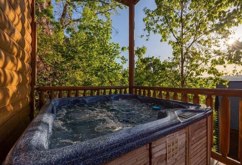 کابین, Scenic Vista Lodge