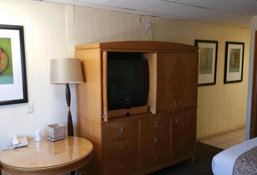 디럭스 룸, The Amethyst Beach Motel
