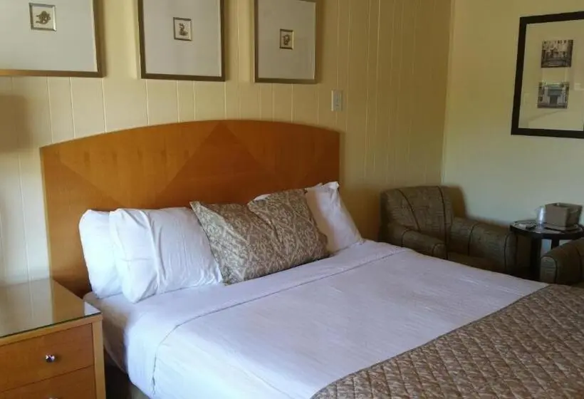キングサイズベッドのデラックスルーム, The Amethyst Beach Motel
