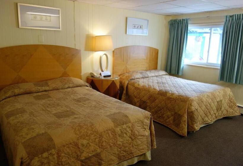 غرفة قياسية مطلّة علي حمام السباحة, The Amethyst Beach Motel