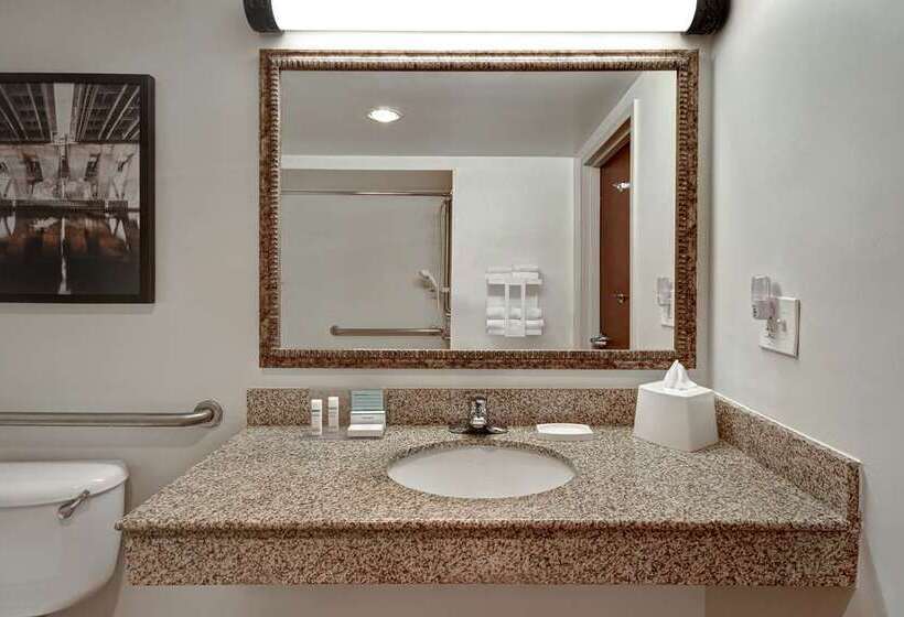 장애인을 위한 스탠다드 룸, Hampton Inn By Hilton Burley