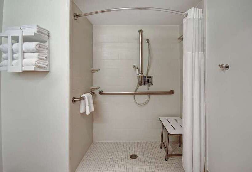 장애인을 위한 스탠다드 룸, Hampton Inn By Hilton Burley