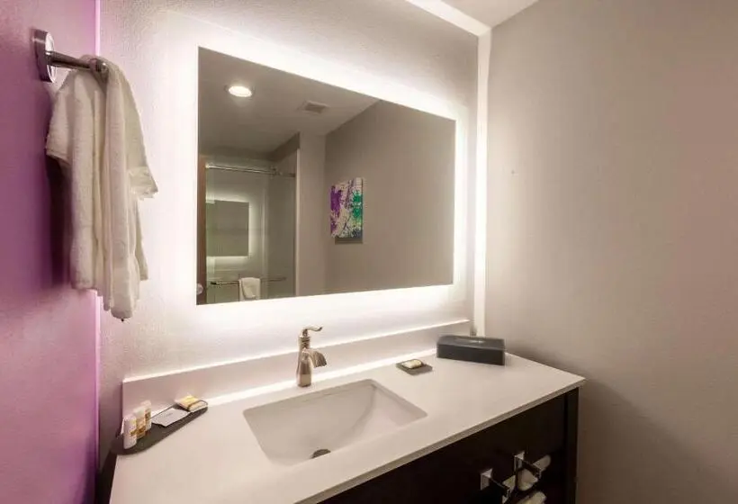身障者適用キングサイズベッドルーム, La Quinta Inn & Suites By Wyndham Lafayette Oil Center