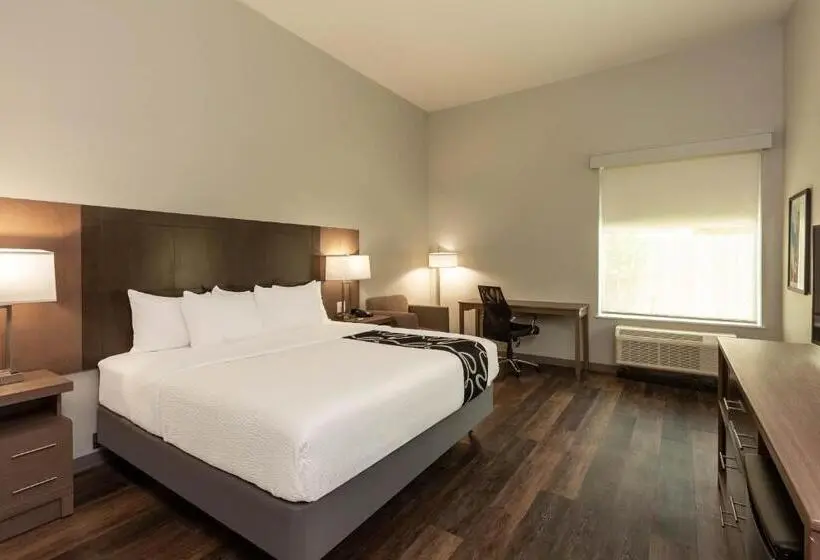 キングサイズベッドのスタンダードルーム, La Quinta Inn & Suites By Wyndham Lafayette Oil Center
