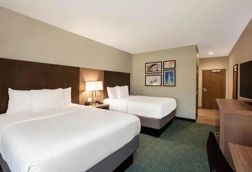 身障者適用スタンダードルーム, La Quinta Inn & Suites By Wyndham Lafayette Oil Center
