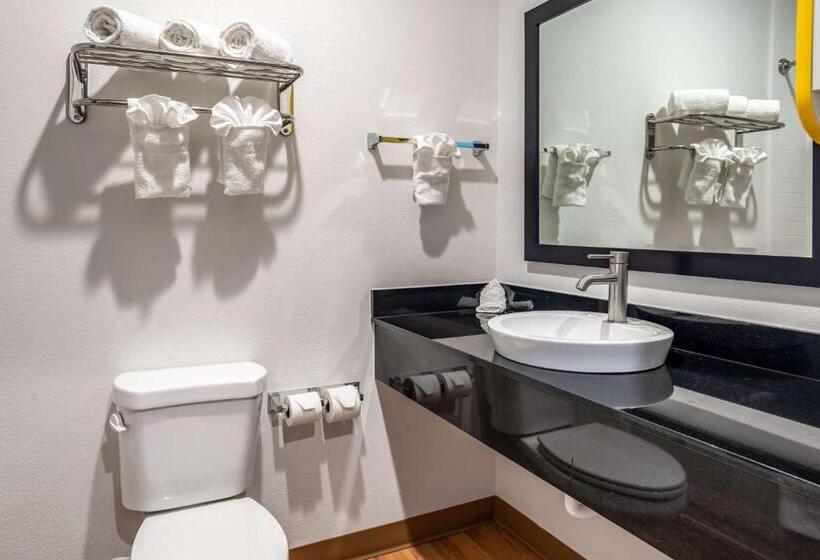 اتاق لوکس چهار تخته, Studio 6 Lake Charles