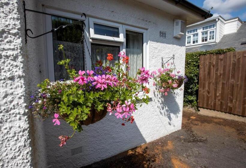 수피리어 룸, Eypeleaze B & B