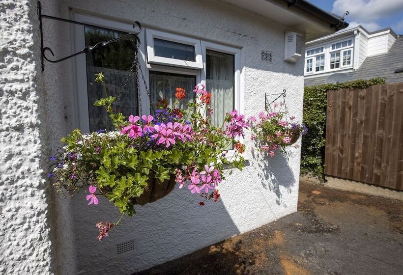 수피리어 룸, Eypeleaze B & B