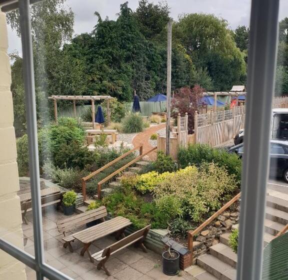 スタンダードルーム, The Red Lion