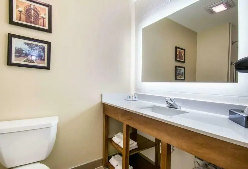 スイート, Comfort Inn & Suites Harrisburg  Hershey West