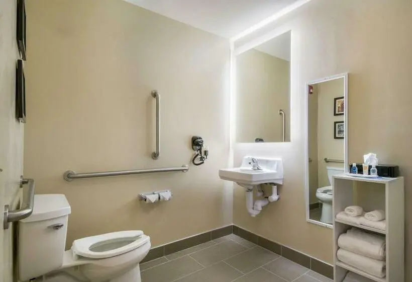 身障者適用スタンダードルーム, Comfort Inn & Suites Harrisburg  Hershey West