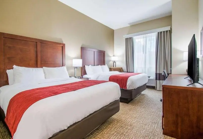 スタンダードルーム, Comfort Inn & Suites Harrisburg  Hershey West