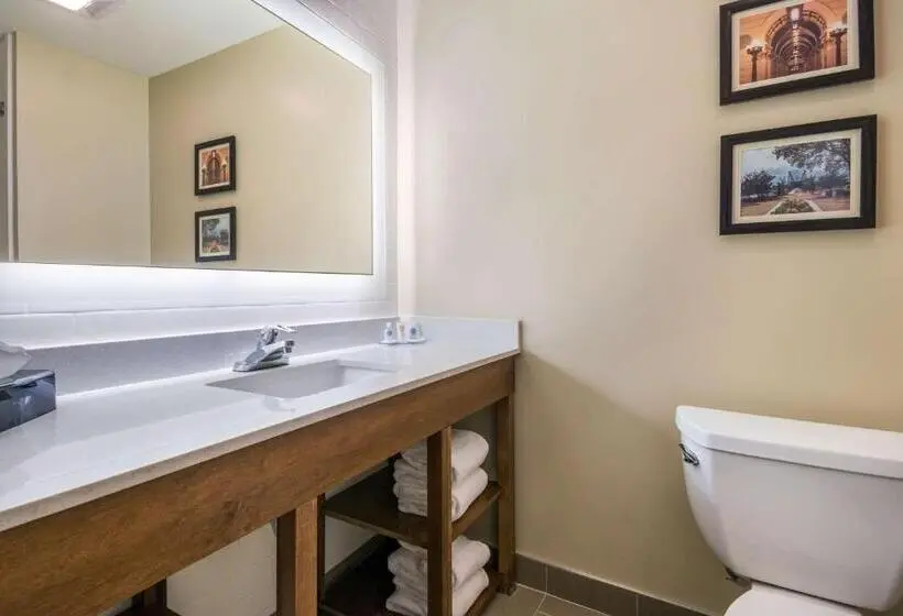 身障者適用キングサイズベッドルーム, Comfort Inn & Suites Harrisburg  Hershey West