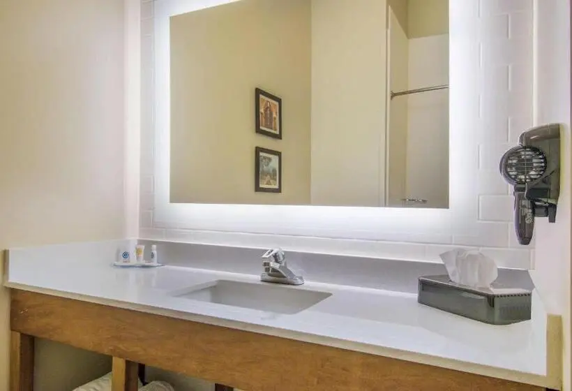 身障者適用キングサイズベッドルーム, Comfort Inn & Suites Harrisburg  Hershey West