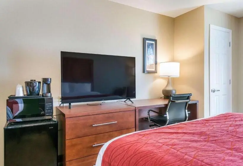 身障者適用キングサイズベッドルーム, Comfort Inn & Suites Harrisburg  Hershey West