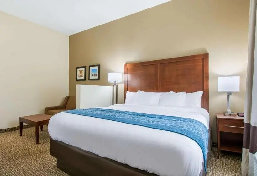 身障者適用キングサイズベッドルーム, Comfort Inn & Suites Harrisburg  Hershey West