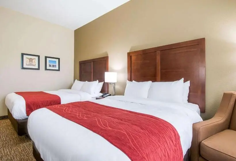 身障者適用スタンダードルーム, Comfort Inn & Suites Harrisburg  Hershey West