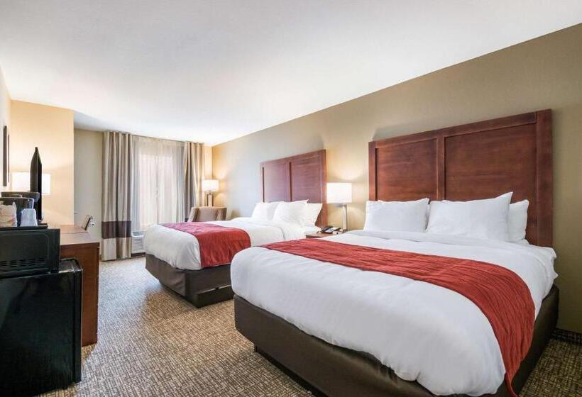 身障者適用スタンダードルーム, Comfort Inn & Suites Harrisburg  Hershey West