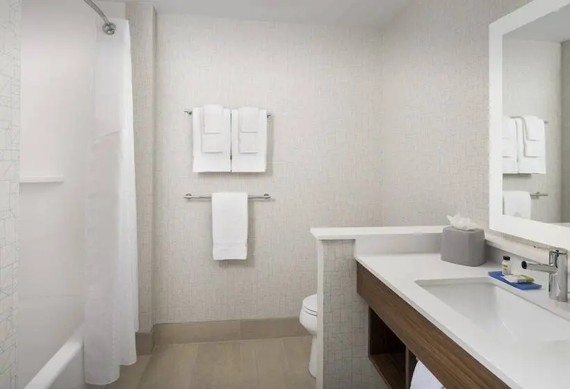 身障者適用スイートルーム, Holiday Inn Express & Suites Kingsland I 95 Naval Base Area, An Ihg