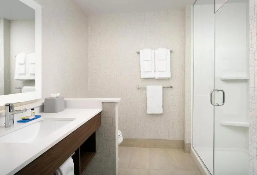 スーペリアースイート, Holiday Inn Express & Suites Kingsland I 95 Naval Base Area, An Ihg