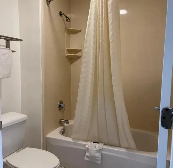 اتاق استاندارد با تخت بزرگ, Majestic Inn