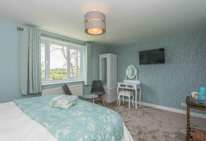 Стандартный Номер Кровать Кинг, Tyn Llain B&b